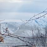 Riky Boyd Profile Picture