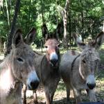 Arthur Genton Profile Picture