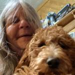 SueDingler Profile Picture