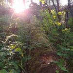 MichelleDunagan Profile Picture