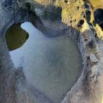 Kendal P Profile Picture