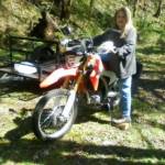 Terri McAlinden Profile Picture