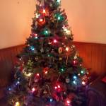 Leticia Wicks Profile Picture