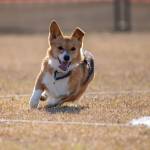 Lynn Popwell Profile Picture