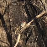 Paulvanginkel Profile Picture