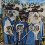 shayn davis Profile Picture