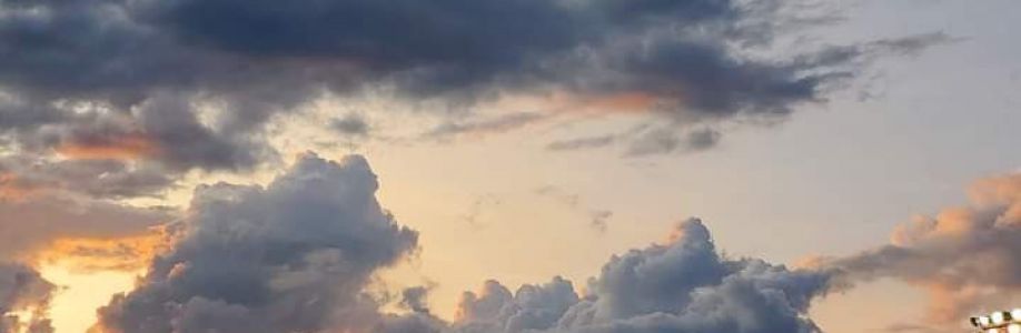 CherylAnnLaney Cover Image