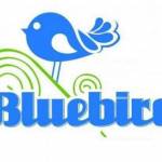 BluebirdOrganic Profile Picture
