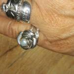 Phillipsgina Profile Picture