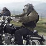 Krash Davis Profile Picture