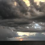 Tom Rabaut Profile Picture