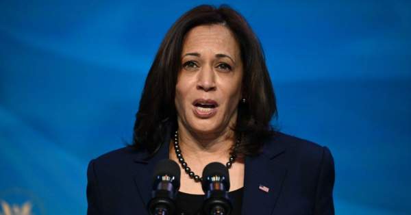 Bail fund promoted by Kamala Harris won't share records of alleged criminals it sprung from jail ⋆ 10ztalk viral news aggregator
