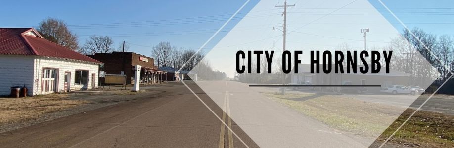 Mayor Hedwall Cover Image