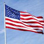 vienie Profile Picture