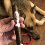 Wolfhausen Von Hensel profile picture