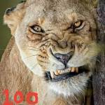 EJ Veritas Profile Picture