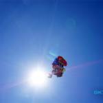 TylerStamey Profile Picture