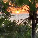 Steve Profile Picture