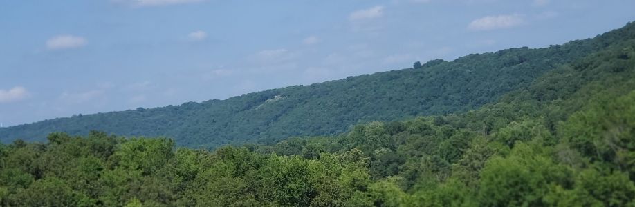 TinaSmith2021 Cover Image