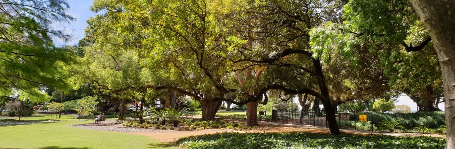 LozzaBear Cover Image