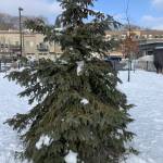 Cdombro Profile Picture