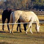 EvilTemptress169 Profile Picture