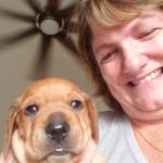 Michelle Kelley Fogarty Profile Picture