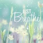 Brenda Stewart Profile Picture