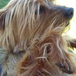 Myrna Profile Picture