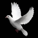 ChristianPraise Profile Picture