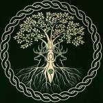 Daniel Beaulieu Profile Picture