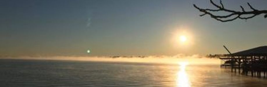 Suzanne Dabney Cover Image