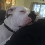 Jodi Jones Profile Picture