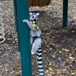 creativeimages Profile Picture