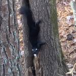 Robert Fisher Profile Picture