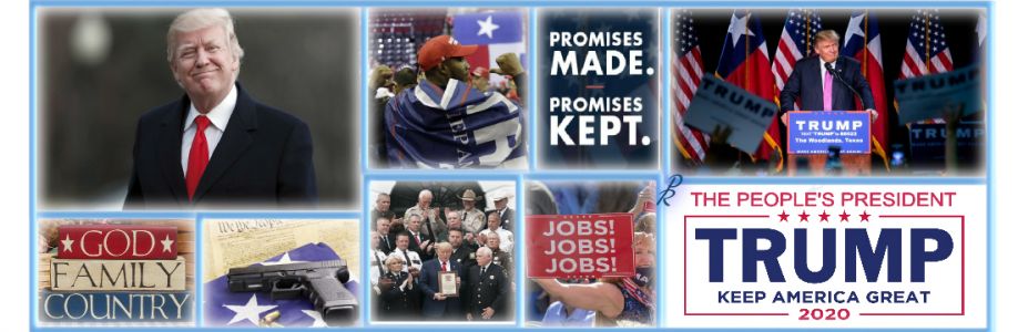 Phoenix Rising Cover Image