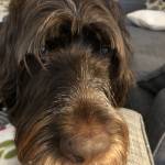 TeamShelton Profile Picture