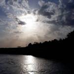 DarleneWolfe Profile Picture