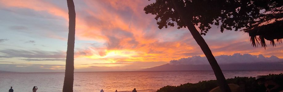 Angie Longacre Cover Image