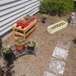 Amber Schober Profile Picture