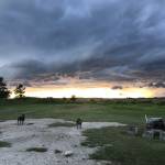 John Welker Profile Picture