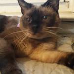 Richard Jones Profile Picture