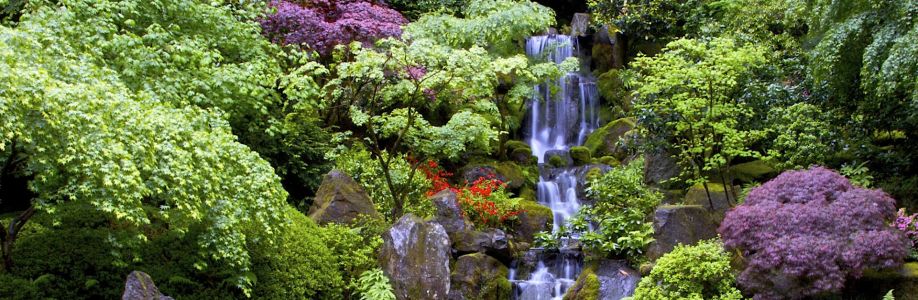 Gary Mormino Cover Image