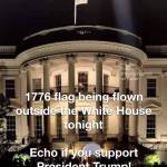 MARK FEICK Profile Picture