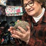Mary Heineman Profile Picture