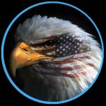 American Patriot profile picture