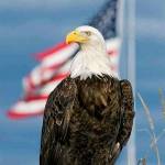 Jerry Jackson Profile Picture
