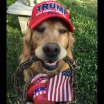 Elaine Larsen Profile Picture