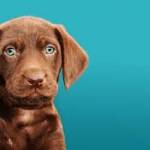 Alfred Dugan Profile Picture