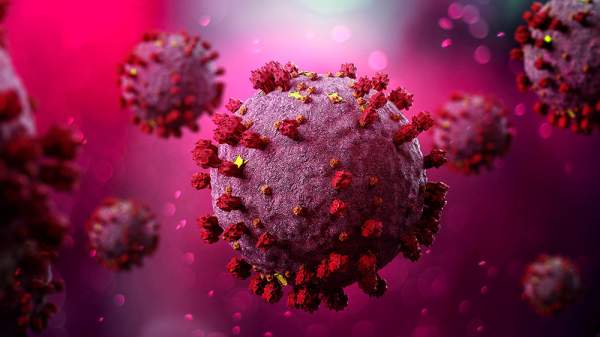 NY Mag admits Fauci hot-wired coronavirus with gain-of-function engineering – NaturalNews.com